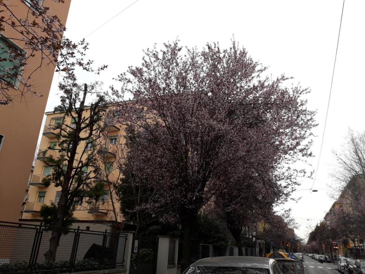 Sant'Orsola Bologna Appartamento Buitenkant foto